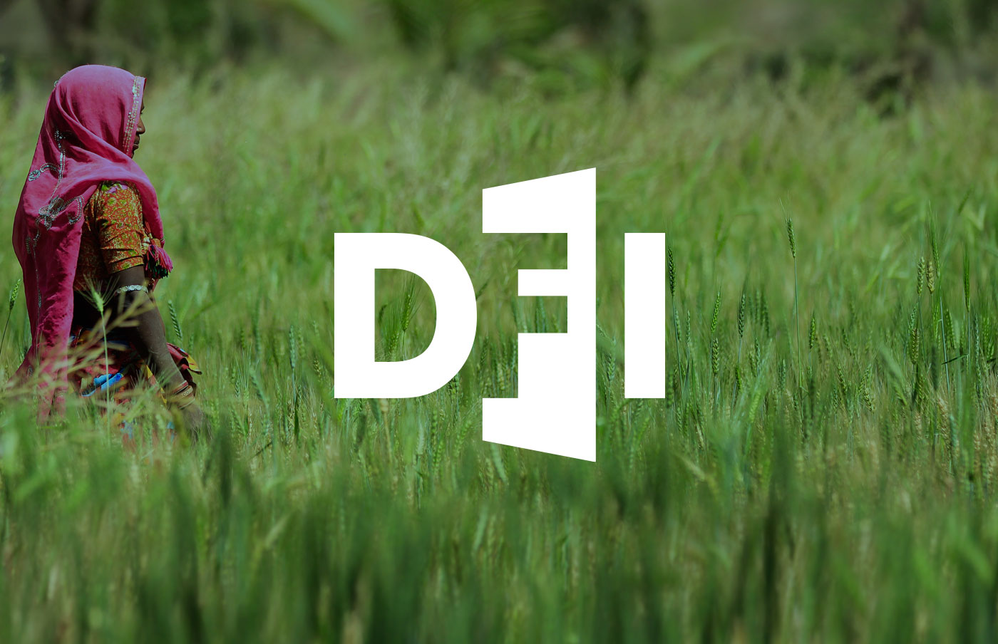 Development Finance International – identity