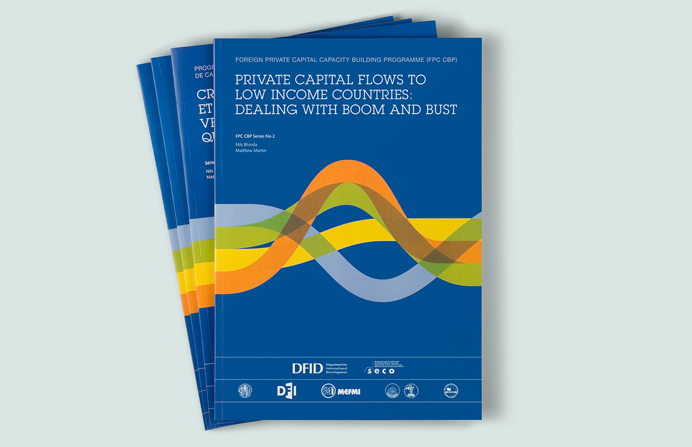 Development Finance International – technical literature